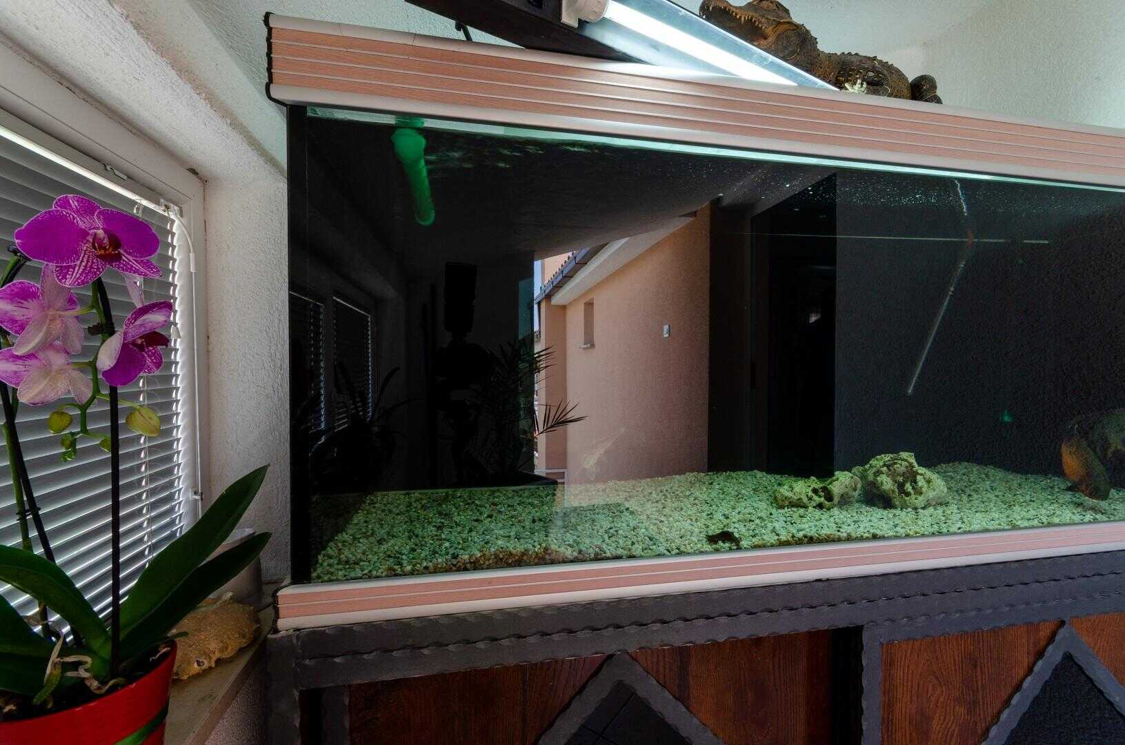 Unit